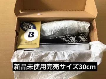 vans challenger masses 포크찹 rats