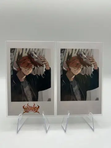 Crazy Raccoon 락의 날 아리사카