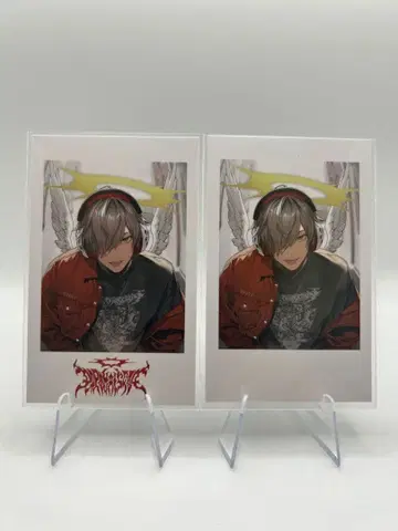 Crazy Raccoon 락의 날 달마이즈갓