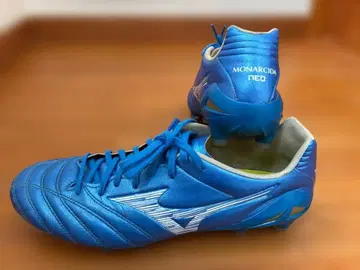 미즈노 모나르시다 네오