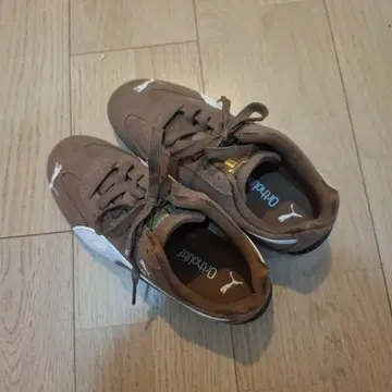 PUMA 스피드캣 브라운 22.5