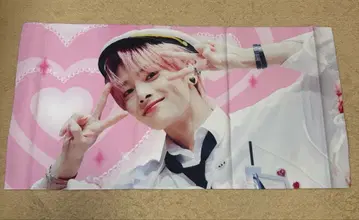 아이엔 슬로건 스키즈