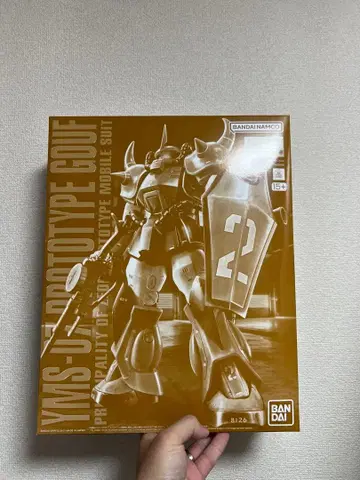 MG 1/100 프로토타입 구프