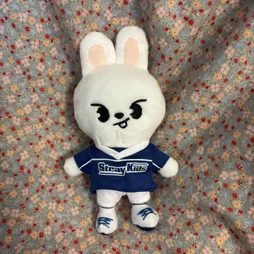 stray kids reebit 백참