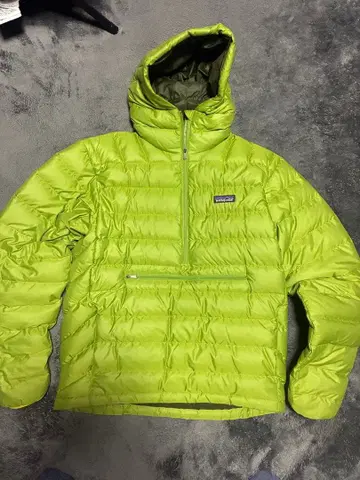 파타고니아 다운 스웨터 게코 그린