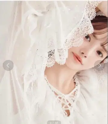 스나이델 바리에 레이스 블라우스 실버