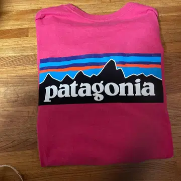 patagonia t셔츠 L사이즈