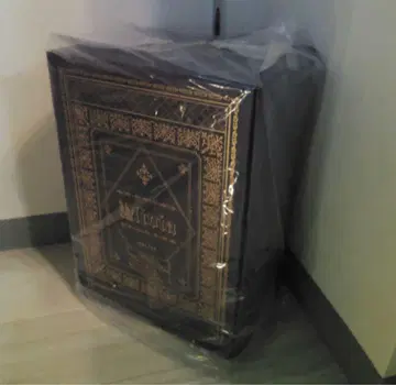 무료배송 올리비아 카나즈키 쇼 오리지널 캐릭터 피규어 새상품 미개봉