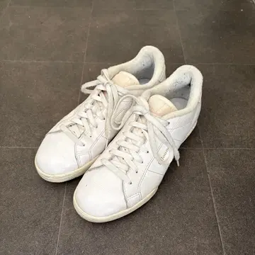 22ss 22aw JJJJOUND REEBOK NPC II 26cm