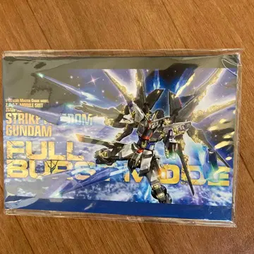 기동전사 건담 MG 박스 아트 엽서