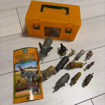 칼라라타 입체도감 리얼 피규어 박스 (동물지리구 1 에티오피아구)