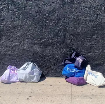 haag 헤이그 토트백 보라색 체크 한국