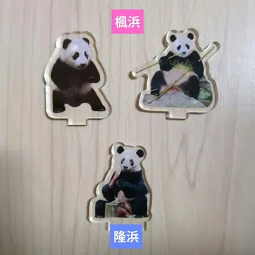 풍빈, 륭빈 아크릴 스탠드 어드벤처 월드