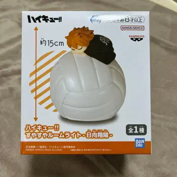 하이큐!! 히나타 쇼요 룸 라이트