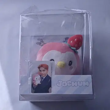 JOCHUM 뽀뽀 봉제 인형