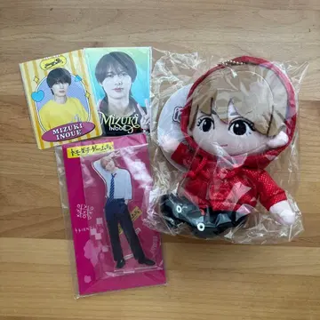 이노우에 미즈키 하피누이 아크릴 스탠드 프로필 카드 세트