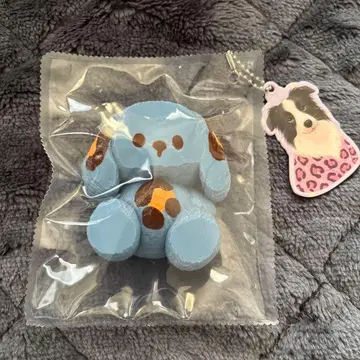 스퀴즈 강아지 강아지