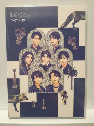 foxy grape 관측소 한정판