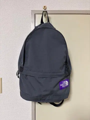 THE NORTH FACE 그레이 백팩