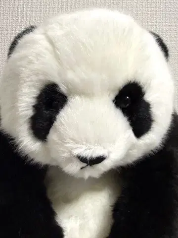 우에노 동물원 팬더 봉제 인형 껴안기 아카츠키 샤오샤오 요시토쿠