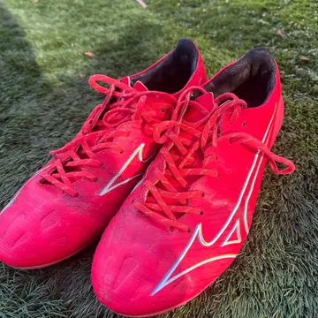 미즈노 알파 PRO