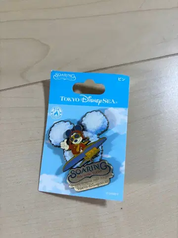 새상품 디즈니 리조트 소아린 핀 배지