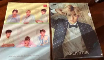 EXO 클리어 파일