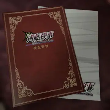 역전검사 팜플렛