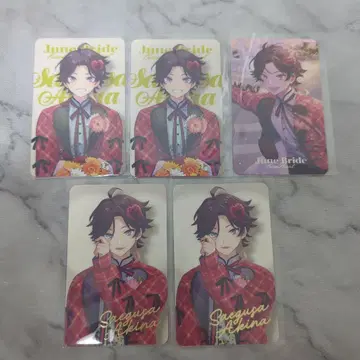 사에구사 아키나 폴라로이드풍 카드