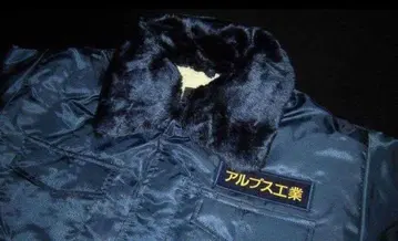 알프스 공업 도카점