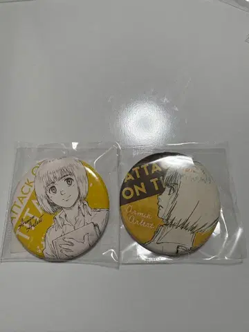 진격의 거인 알민 캔뱃지 wit studio