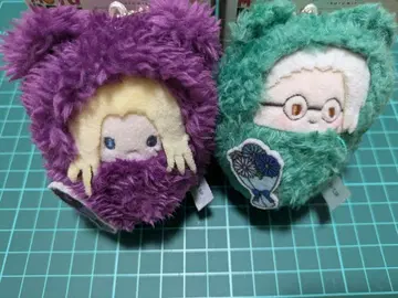 싸개 타피누이 카미카마에 사카모토