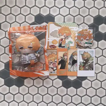 니지산지 우사미 리토 니지파펫 폴라로이드