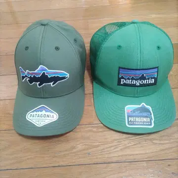 Patagonia 캡