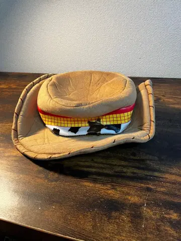 우디 디즈니 모자