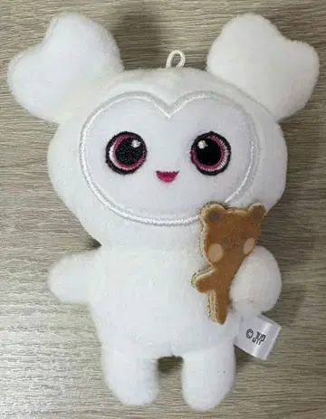 twice 다브리 다현 백참