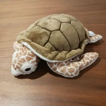 붉은바다거북 봉제 인형