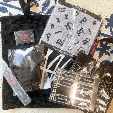 stray kids 라이브 굿즈 세트 dominATE 업그레이드 혜택