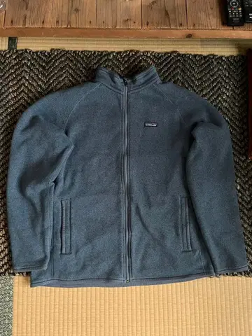 patagonia 베터 스웨터 레어 컬러