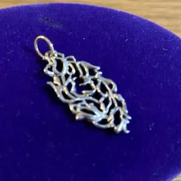 실버 시스루 참