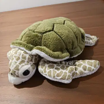 푸른바다거북 봉제 인형