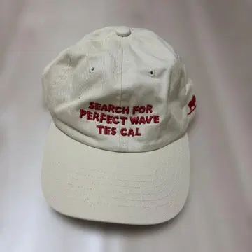TES 캡