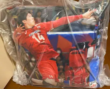 배구 일본 대표 이시카와 유키 쿠션