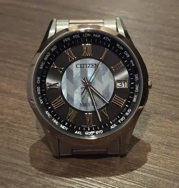 Citizen 한정판 모델 시티즌 엑시드 CB1115-68W