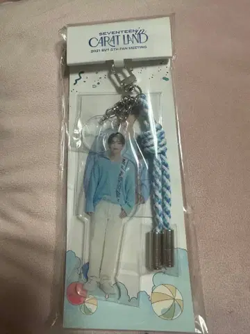 seventeen carat land 에스쿱스 아크릴 키링