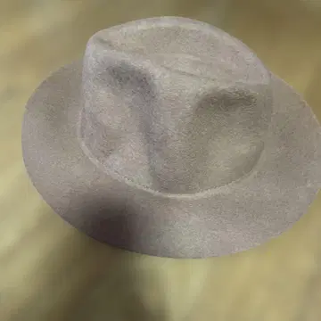 Another Little 브라운 울 햇