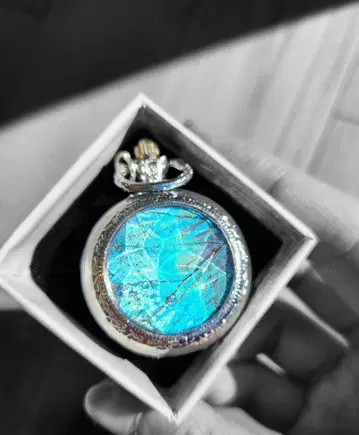 숲의 보석! 진짜 모르포 나비의 깃털 회중시계