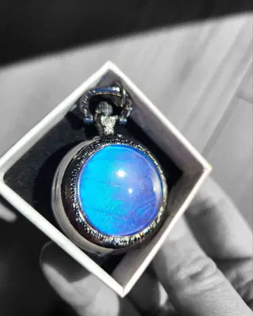 숲의 보석! 진짜 모르포 나비의 깃털 회중시계