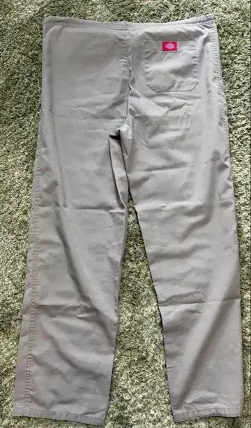 dickies 이지 팬츠 파스텔 그린 드로우 스트링 포함