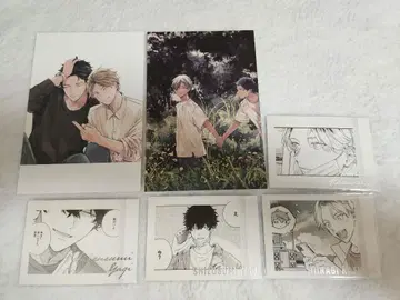 기븐 포스카 파샤코레 시즈라기